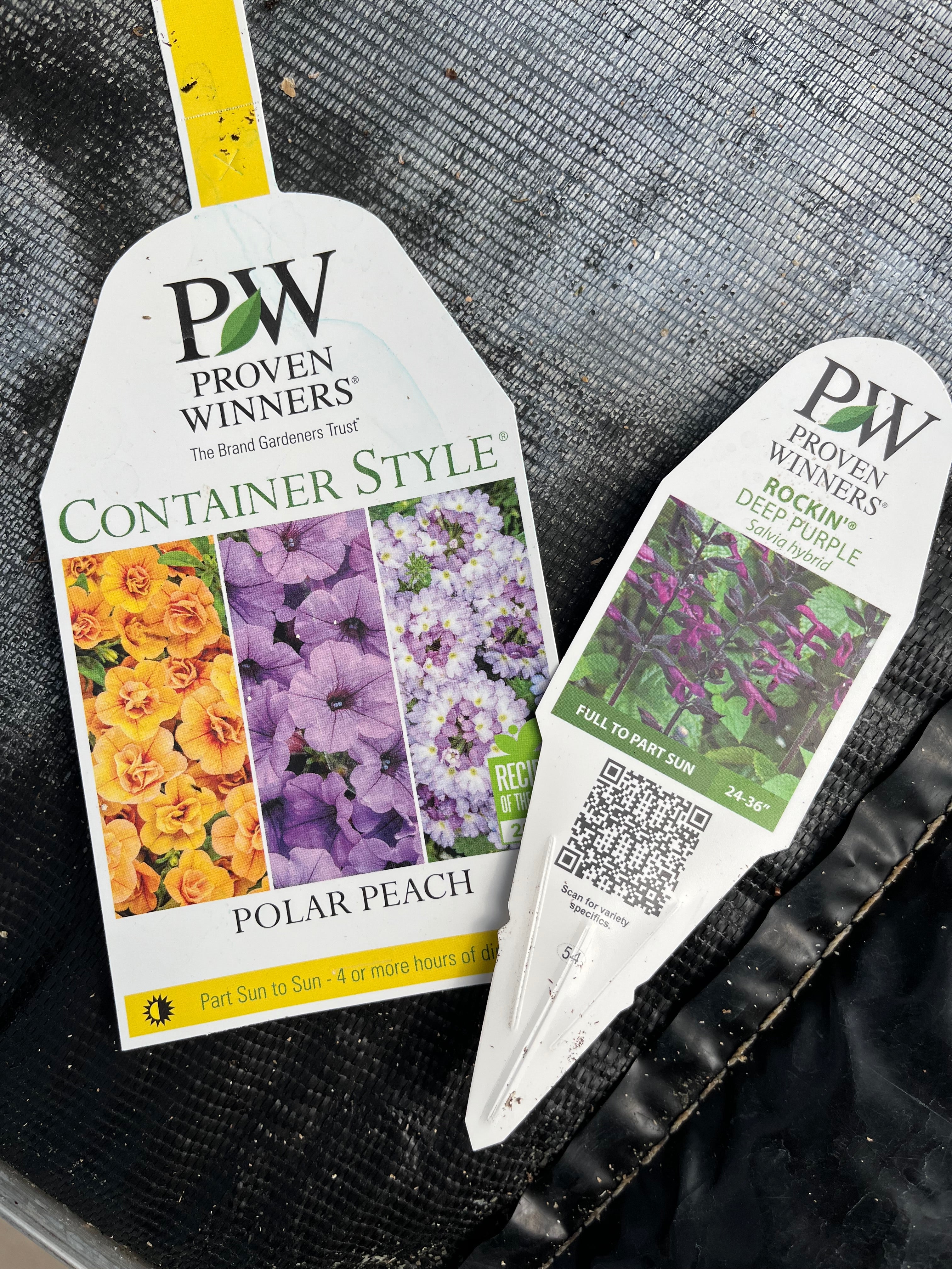 30-Second Planter: Polar Peach