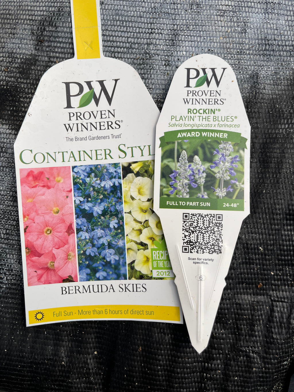 30-Second Planter: Bermuda Skies