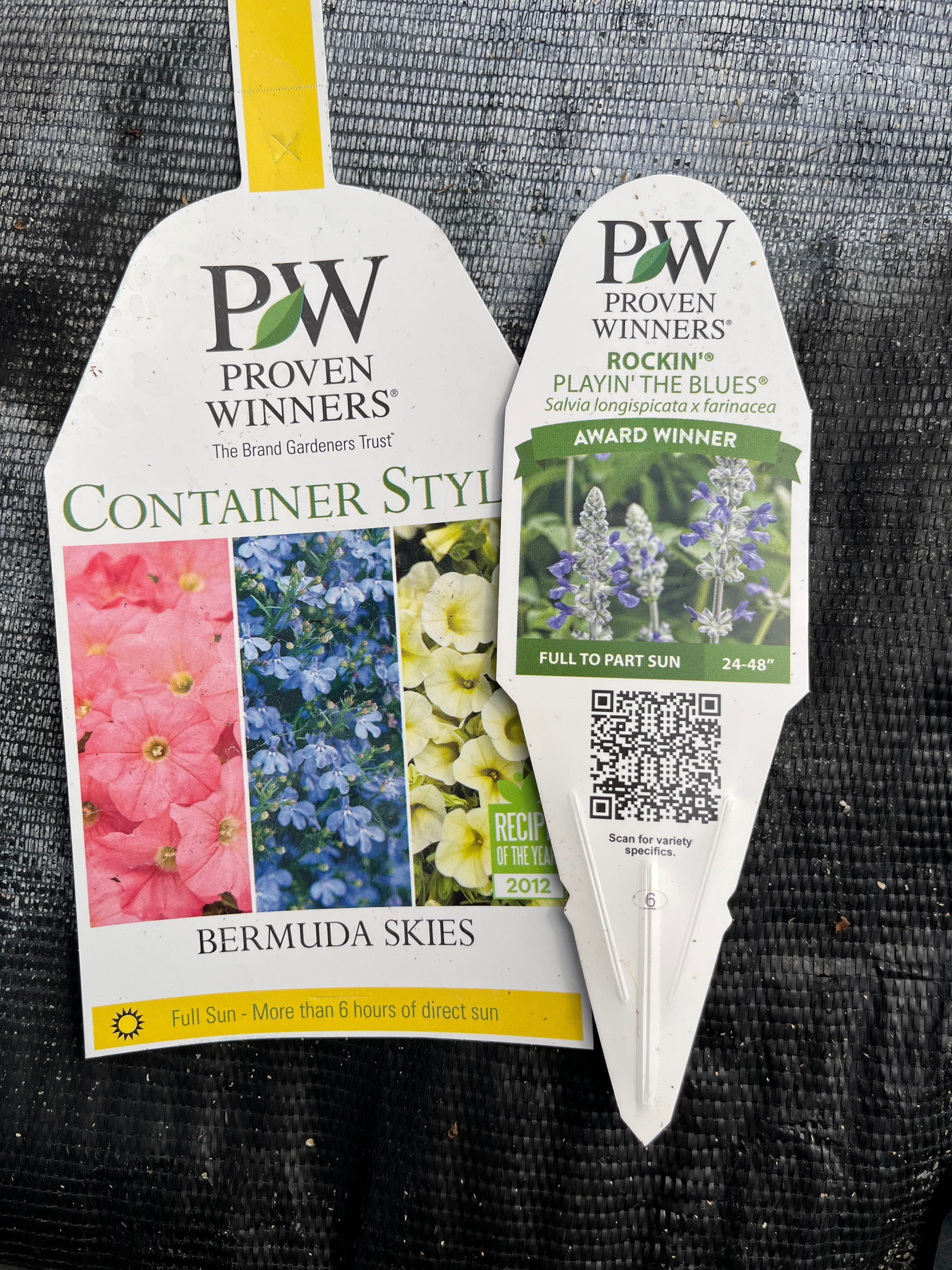 30-Second Planter: Bermuda Skies