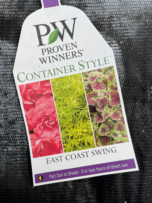 30-Second Planter: East Coast Swing