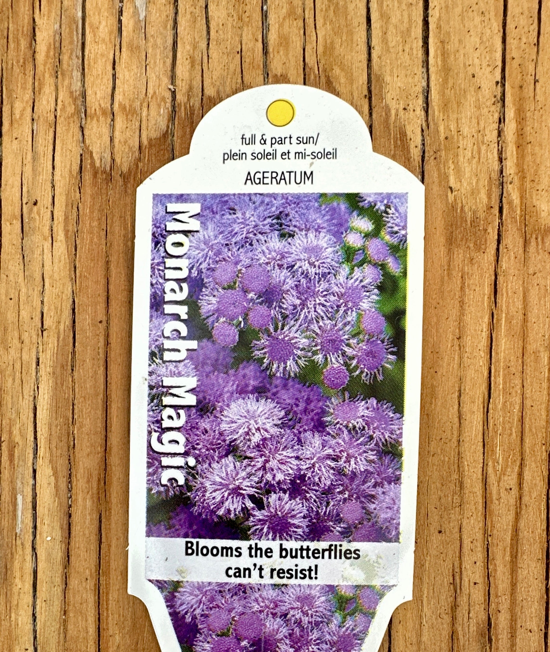 Butterfly & Hummingbird Collection - Pollinator Garden Kit