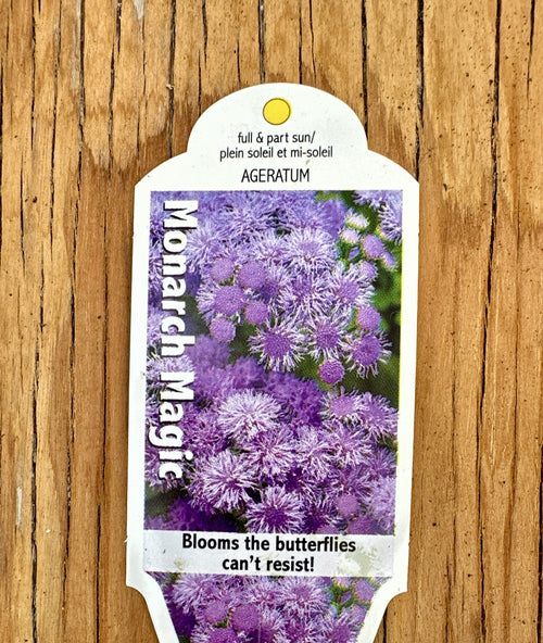 Butterfly & Hummingbird Collection - Pollinator Garden Kit