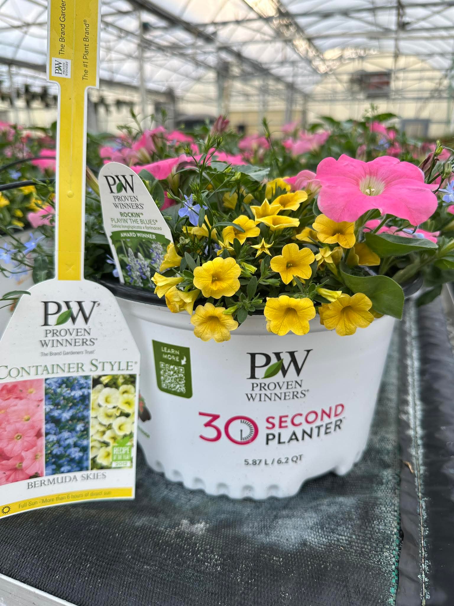 30-Second Planter: Bermuda Skies