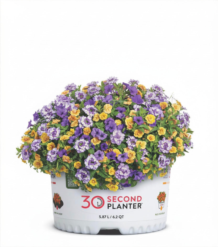 30-Second Planter: Polar Peach