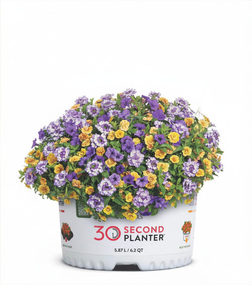 30-Second Planter: Polar Peach