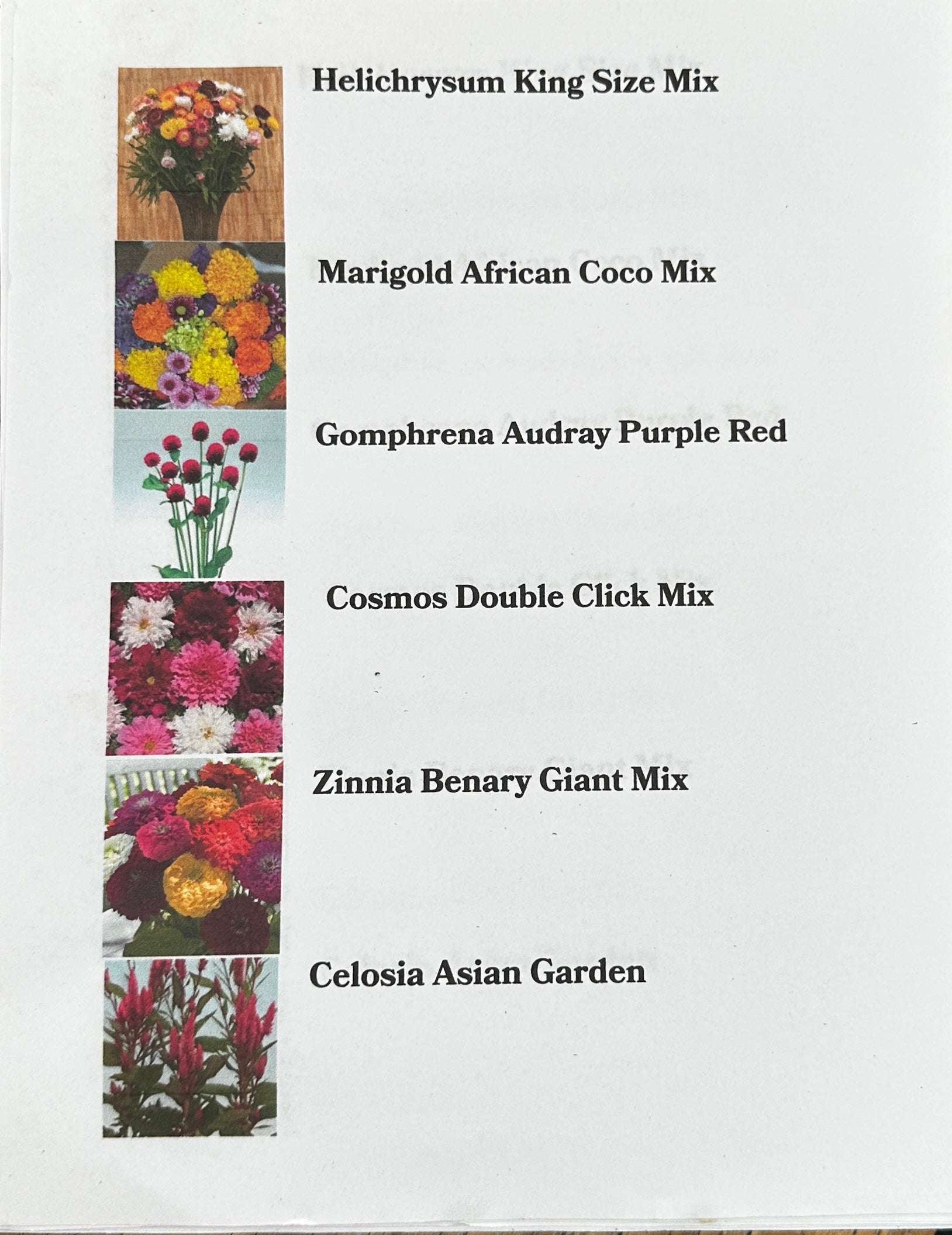 Mel's Cut Flower Garden Flat Mix