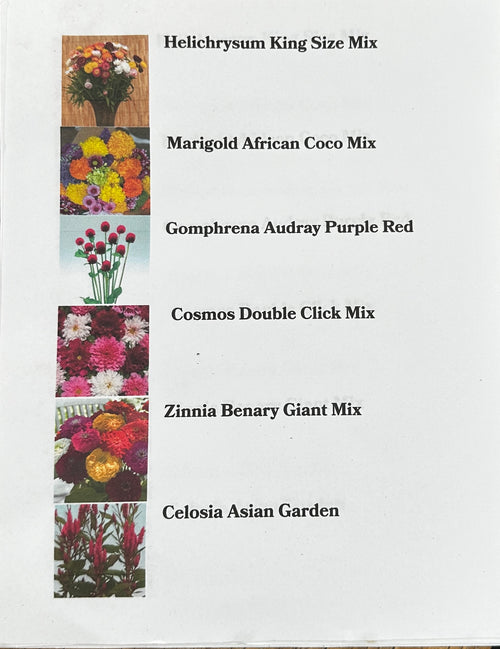 Mel's Cut Flower Garden Flat Mix